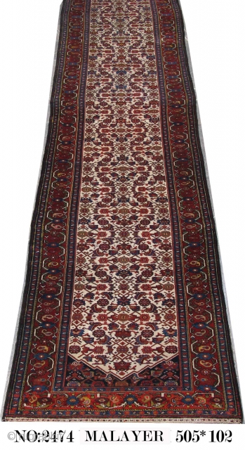 Antique Malayer circa 1900, in Perfect condition. wool on wool.Size: 505x102 cm                     
