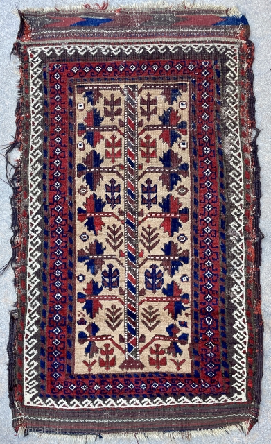 Nice old Baluch tree of life rug with camel wool field - c.1880 - 2'7 x 4'6 - 82 x 140 cm           