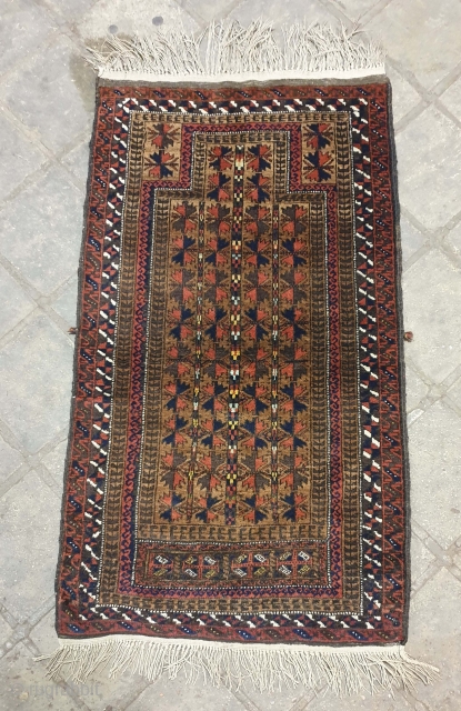 BALUCH prayer rug in mint condition, woven in ZIRKOUH of GHAEN , interestingly with this rug is its colorful hues which can be considered as an exception among baluchy rugs , fringes  ...