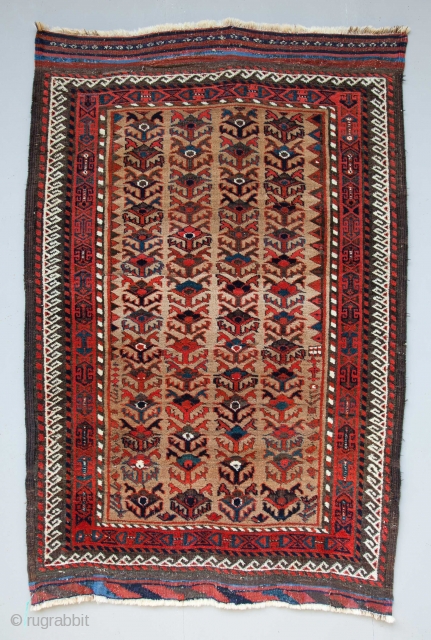 Baluch Rug 167 x 110 cm