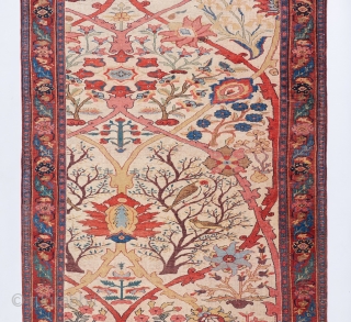 The best Bijar in all the land. Fine " halvai " weave, hot red ( who cares ) . Inscription dating it to 1900.  A painterly masterpiece. 7'2" x 4'7". Has  ...