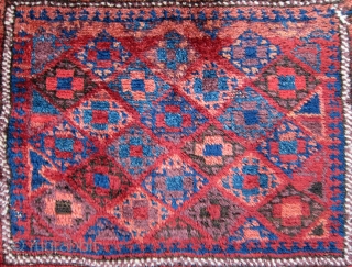 Funky Baluch with great color and wool.                          