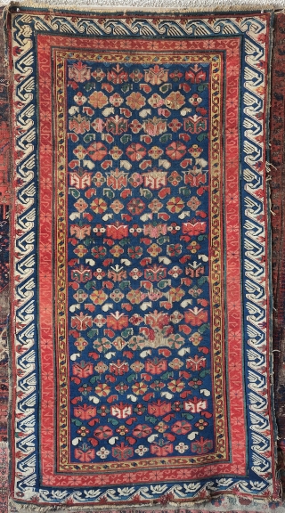 Zeichur Kuba rug with ultimate color. Older than most (all?) Thin and delicate handle. 3'4"x6'2"                  