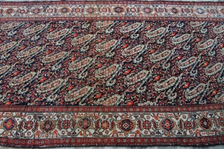 Beautiful Mishan Malayer cm 337x157 or ft 11.0x5.1, end 19th/early 20th century, lovely boteh pattern, good colors & condition, needs smaller restorations.           