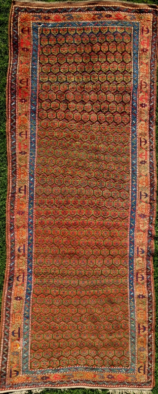 Cheerful Kurdish rug, 307x121cm, 19th century, 9 saturated, happy colours, brown corroded otherwise very good pile, glossy wool. Two old repairs, one tear at the outer border. 385 bothe faces are smiling  ...