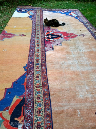 Antique Khorassan carpet, mid 19th, 330x470cm, worn, damaged, cut and shut. Most beautiful colours, alas the back looks better than the front.Amazing shades of peach, apricot and sunset.     