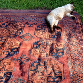 Looking for a good home to add warmth and character....

Ersari main carpet,300x220cm, circa 1900, with original kilim ends,all natural colours, an old minor repair, some wear, in need of a tender wash.Selvedges  ...