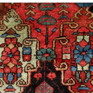 Bakhtiar from the village Âbâdji, circa 1900, 200x143cm, rare border, saturated colours, including beautiful pistachio green, good pile all over, damage in the middle field, 3 tears in the upper and bottom  ...