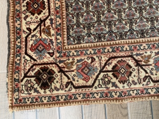 Probably Persian Tabriz with rare zili sultan pattern. 184cm x 131cm                      