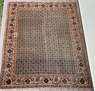 Probably Persian Tabriz with rare zili sultan pattern. 184cm x 131cm                      