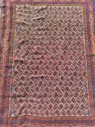 Afshar Persian Rug

Circa 1870 


Size: 125x175 cm                          
