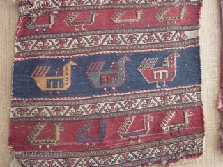 sahsavan piece with happy birds