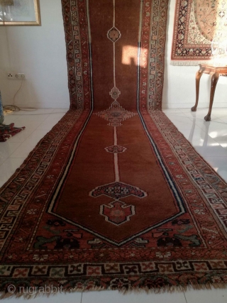 An antique camel hair ground NW Persian runner with 430/108 cm in good condition. Two spots repiled. One side with kilim ending, the other open. On wool rug.     