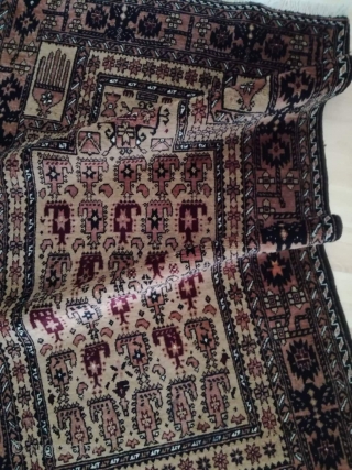 An old Baluch prayer rug in very good shape. 130/80 cm.                      