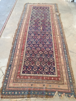 Antique Shirwan rug with demages. 310/120 cm.                          