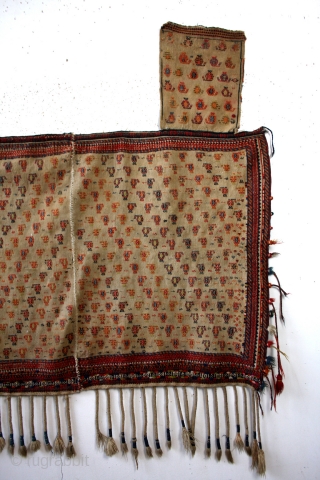 Large Saddle blanket, for a camel, Shahsavan early 20th century. 
wide 155 Cm's 5 ft 2 inch. 
high 170 cm   5 ft 8 inch
       
