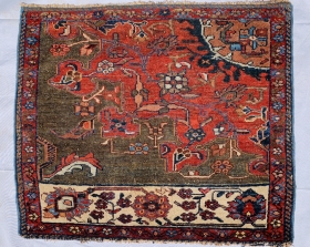 Persian | rugrabbit.com