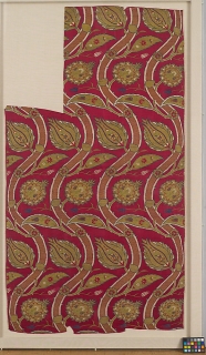 Fragmentary Loom Width with Wavy-vine Pattern