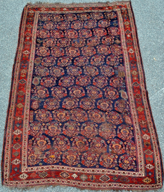 Khamseh main carpet