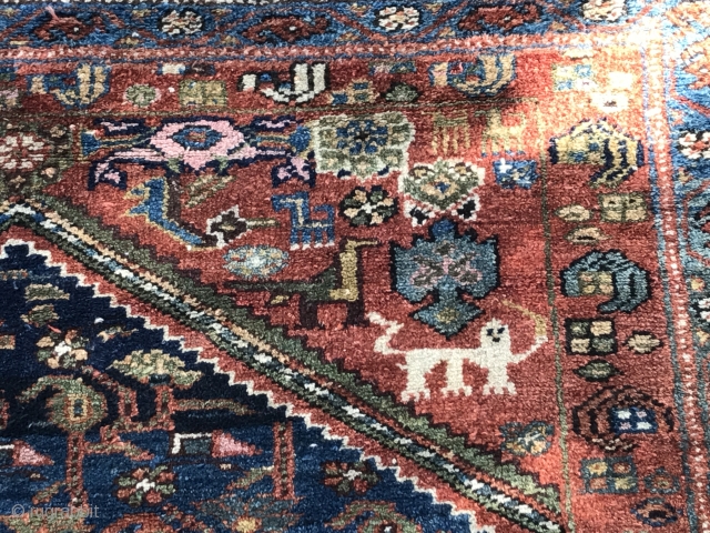 Cute Kurdish rug with great wool and beautiful dyes. 2.00m x 1.20m (6' 5" x 3.10") Note the royal lions in the spandrels. Subtle range of colours. The condition is very good.  ...