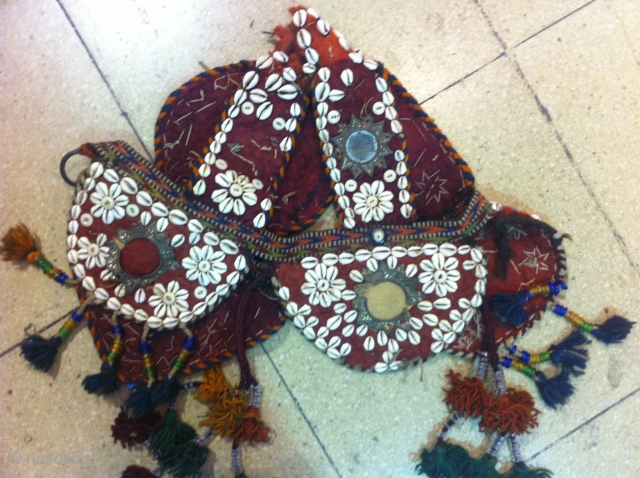 Camel Headgear ,about 100 years old                           