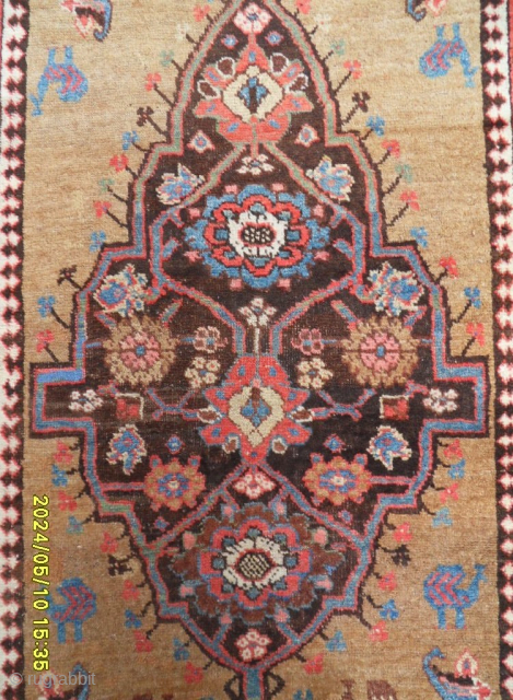 Antique Bidjar Carpet 
Size: 220x108 cm.                           