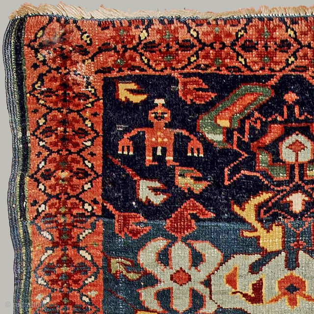 A joyful rug with the classical Bidjov ascending pattern and a rich palette of bright colors on a dark blue ground. While the structure is typically Shirwan, the pink color of the  ...