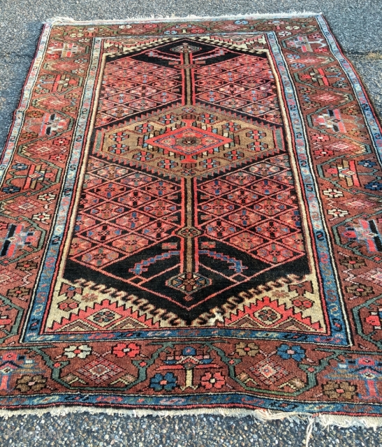 Excellent Hamadan with rare border. Outstanding proportions and color. Light brown is natural camel wool. Beautiful condition. Kilim ends need securing. Size 79.5 x 56.7 inch (202 x 144 cm).Attractive price.  