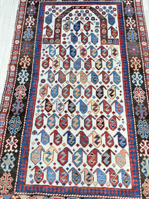 Akstafa Prayer rug all naturel colors meaty pile good condition 
3X5,3
rugsdc@yahoo.com                      