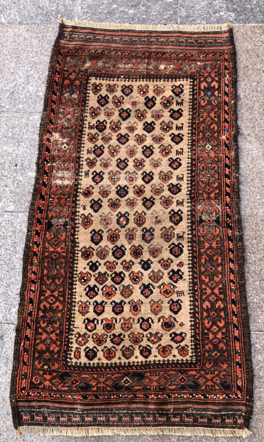 Baluch Rug 
contact at directly rugbjk1903@gmail.com                           