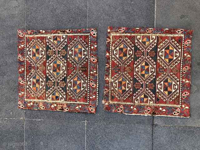 caucasian bagface pair contact at directly rugbjk1903@gmail.com                          