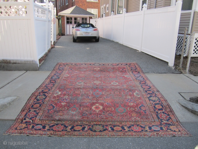 antique mahal crab design rug 9' x 12' 3" some wear 3 holes sides and ends are good nice colors cheap money big profit no dry rot SOLDDDDDDDDDDDDDDDDDDDDDDDD     