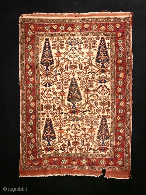 19th century Afshar Rug (Neyriz)                            