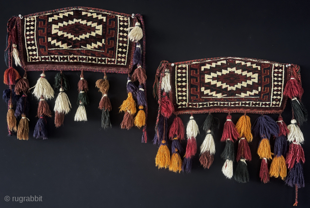 Antique Turkmen - Yomud pair of mini asmalyk & trapping. All very fine wool woven for dowry items and they are kept on their walls. Saturated natural colors. All tassels survived in  ...