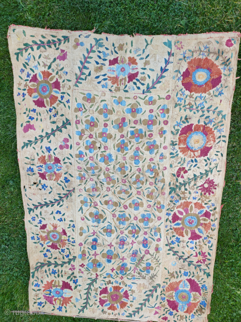 Pretty 19th century small suzani 5x3ft3in.reasonable condition unlined with a few holes.tonyhazrugs@btconnect.com                     