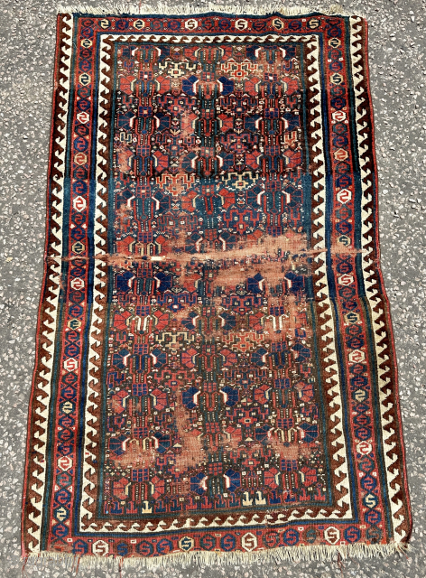 Antique Saujbulagh, 19th century, size is  207 x 119 cm

Email : theantiquedecor@hotmail.com TEL : +44 7985418910
Ask about this              