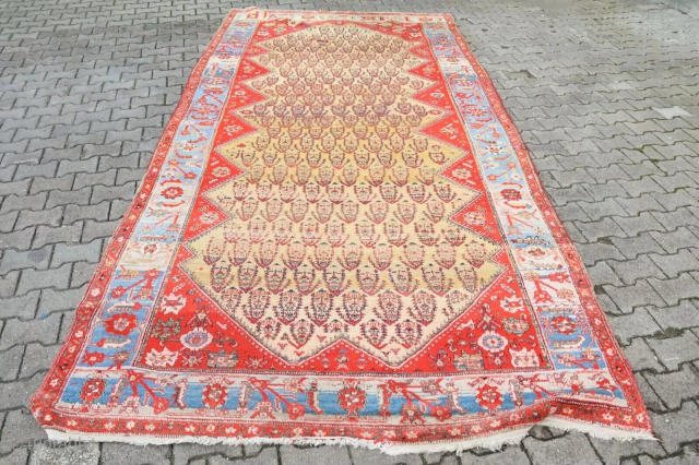 Gorgeous Malayer size 13'4" x 6'6".                           