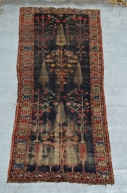 Lori rug 8'7" x 4'2".                            