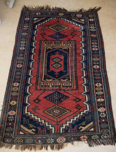 Small Kelardasht kurdish Khorasan rug, very cute, lovely colours,some corrosion of the red and brown, creates a wonderful effect, some low pile at one side and one or two small restaurations. 90  ...