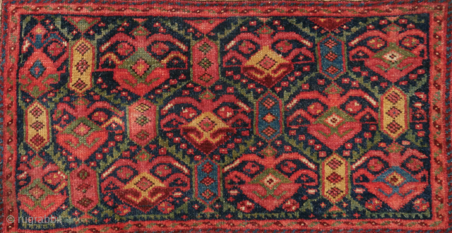 Rare bagface, small rug or mafrash. Caucasian, Kuba? Seichur? with a kind of palmette or insect border. good colours with a bit one kind of red somewhat tipfaded, 94x50 cm. please use  ...