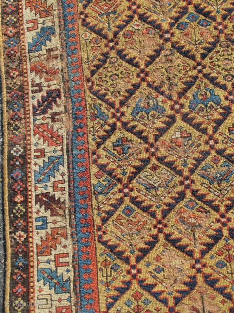 Shirvan runner with a gold ground, 3'4"x10'1"                          