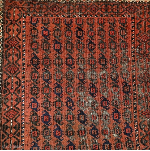 Small cinnamon ground Baluch rug with a 'scorpion' boteh field.                       