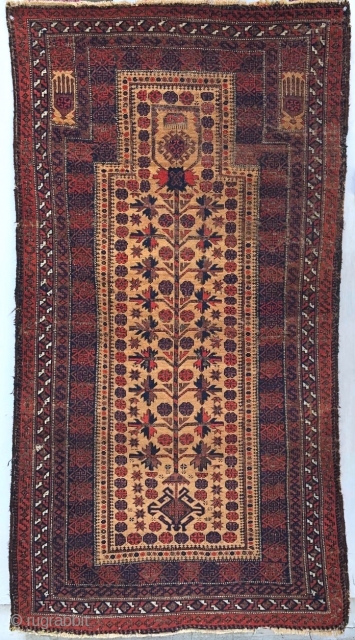 fine Baluch camel-ground prayer rug, 34" x 5'5", asymmetrical, open left 120-130 knots per square inch                 