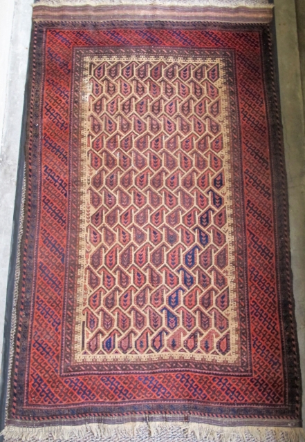 Larger than normal Baluch rug with unusual geometric botehs arranged in a subtle but sophisticated repeat creating graphic diagonal negative space that works very well with the diagonal latch-hook striped border. The  ...