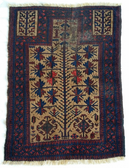 Baluch camel-ground prayer rug, excellent stylized trees, great hand panels, soft Baluchi wool with natural abrash in the camel,  saturated natural colors. Damage to the area around the mihrab. size=29"×39"  