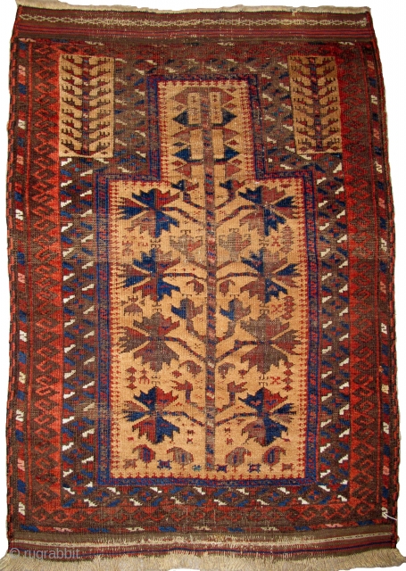 small Camel Ground Baluch Prayer Rug, elegant drawing and saturated colors. Complete with sides and ends. Probably from Northwest Afghanistan, it is an older one of this type. 2'5"x3'5"    