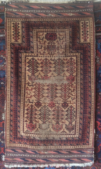 Baluch camel ground prayer rug with animals, abstracted shrubs, and a Shi'a inscription that reads, 'Allah, Muhammad, Ali, Hassan, Hussein' kilim ends preserved.          