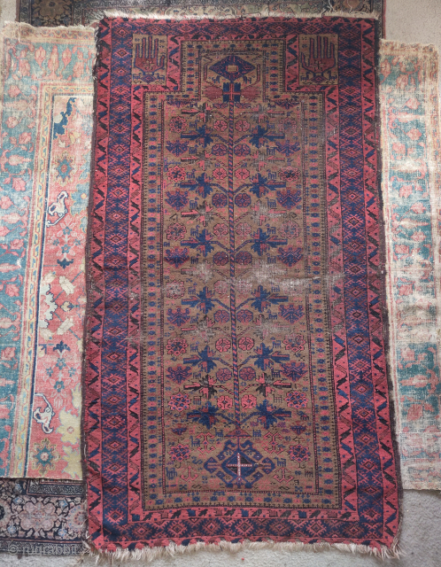 Unusual Baluch prayer rug with dark natural undyed camel wool and saturated natural dyes. An eccentric rendering of a classic design type replete with animals. Larger size than most, 3'3"x5'10"   