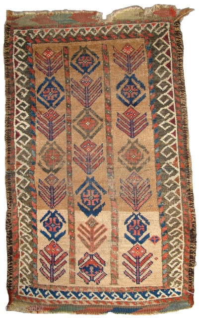 Baluch Camel-ground Poshti, great abrash in the natural camel and soft natural colors including yellow and green. The field displays a rendition of a more typical bag border design. Multi-colored weft including  ...