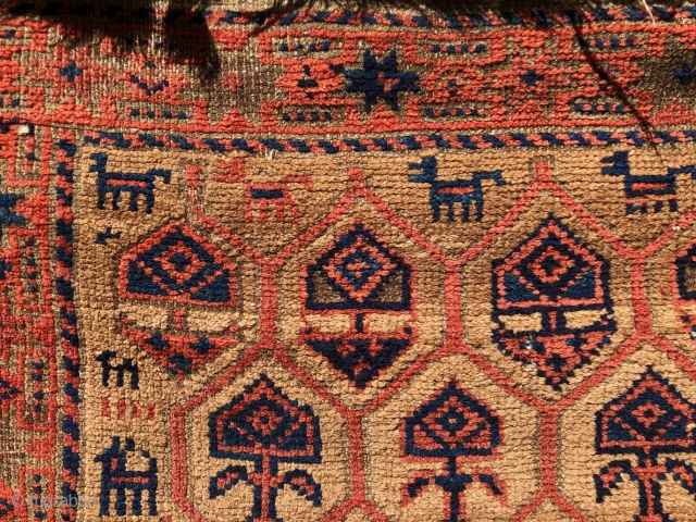 Baluch, Camel ground, late 19th century. So called Arab Baluch. Knot, Persian open to the right. 
Original Condition: no wash, no repair. 5’.3 x 3’        